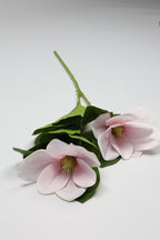 Magnolia - W Pink 2 Roses