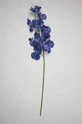 Phalaenopsis- Blue 9 Roses