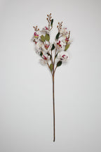 Phalaenopsis - White*Pink 9 Roses*5 Lines