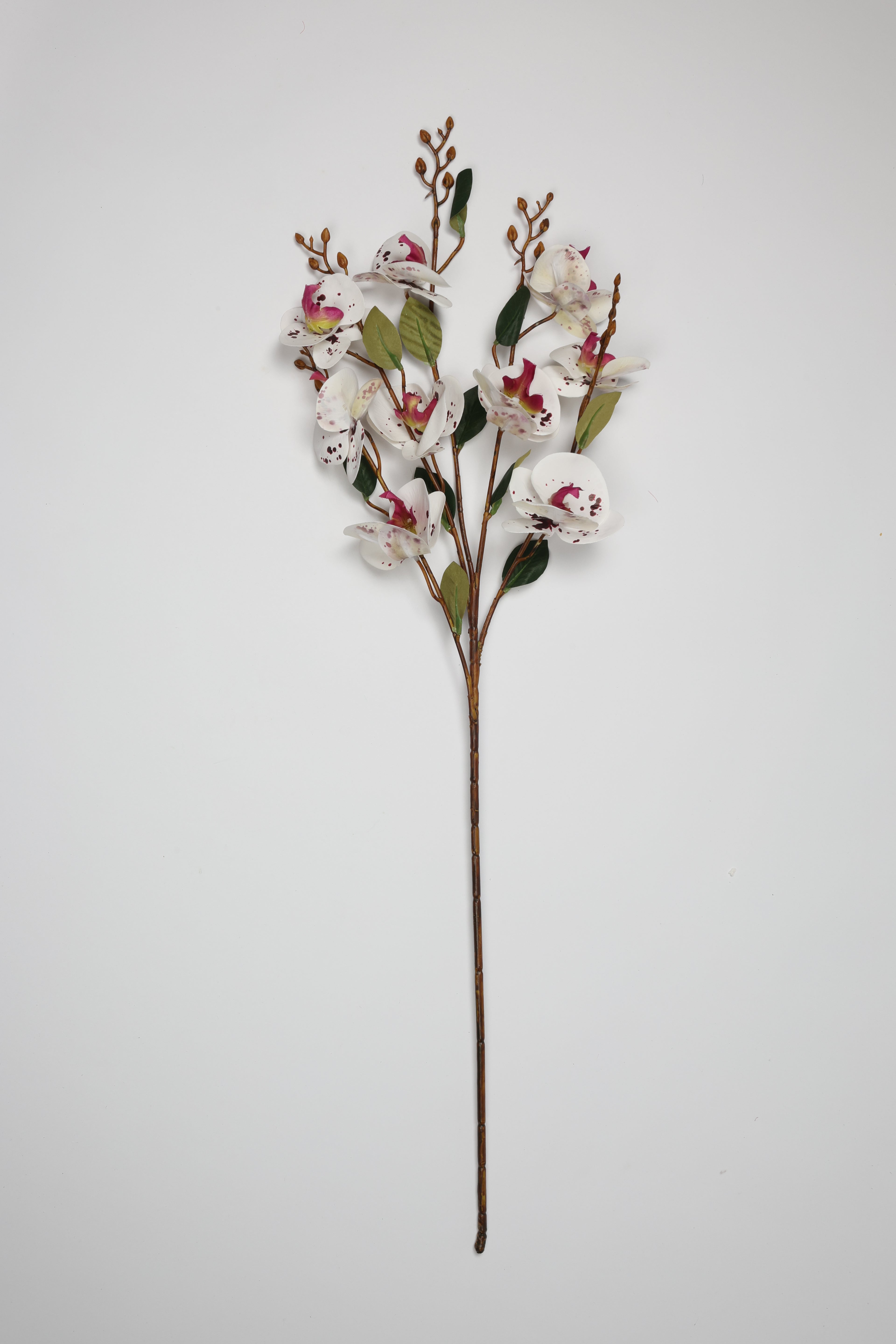 Phalaenopsis - White*Pink 9 Roses*5 Lines
