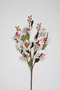 Phalaenopsis - White*Pink 9 Roses*5 Lines
