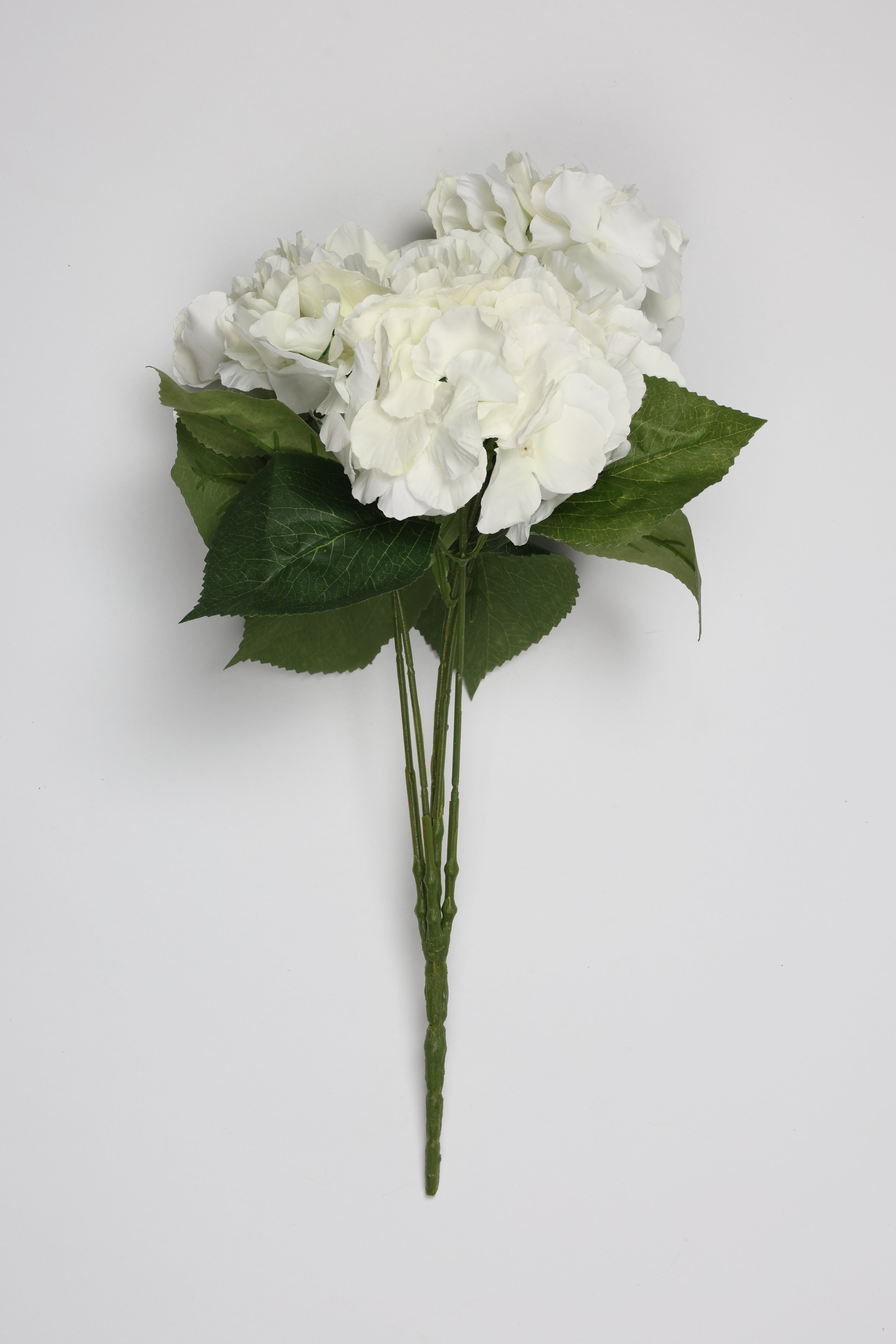 Ortancia - White Coll