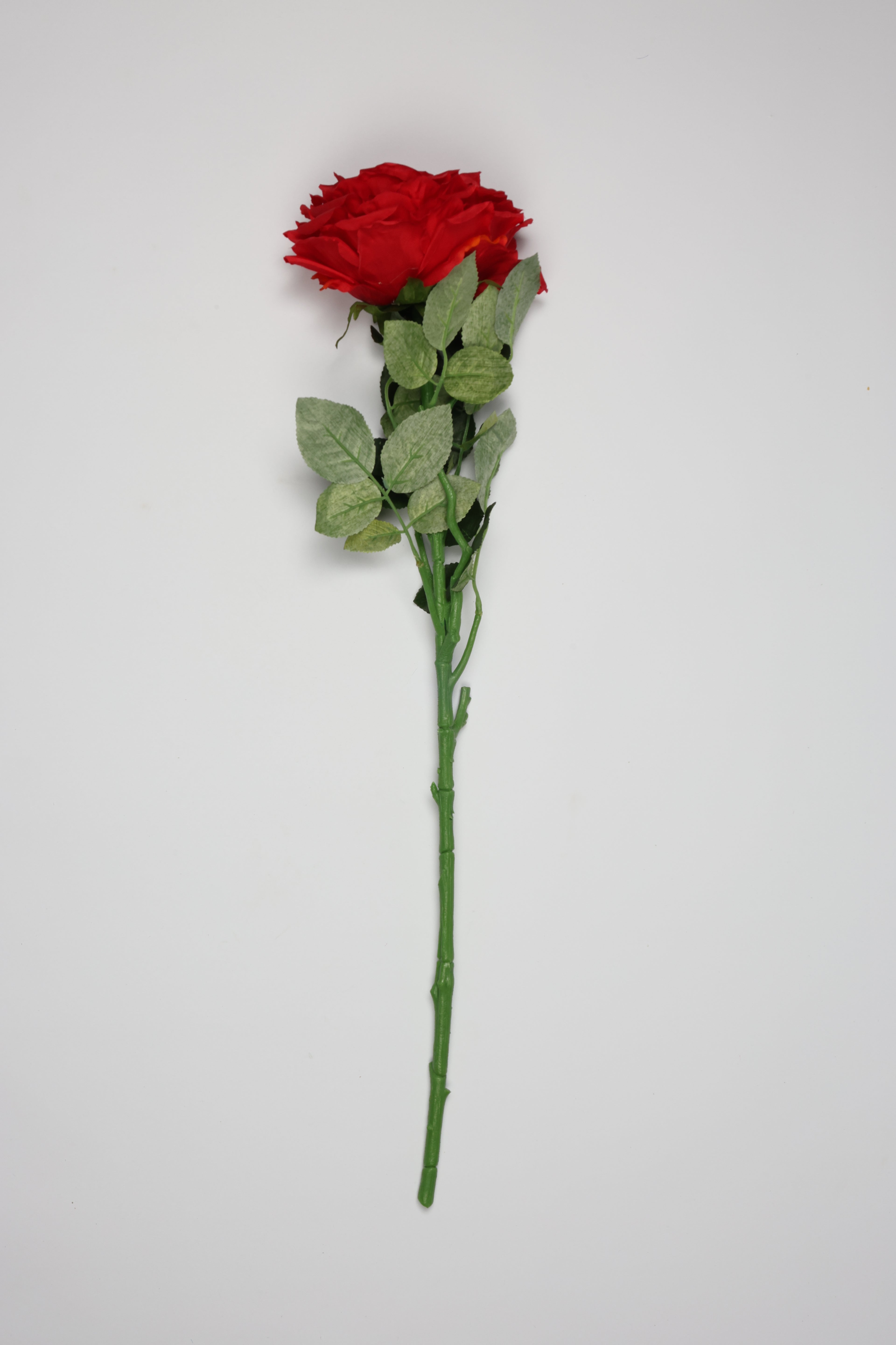 Red Rose - Single
