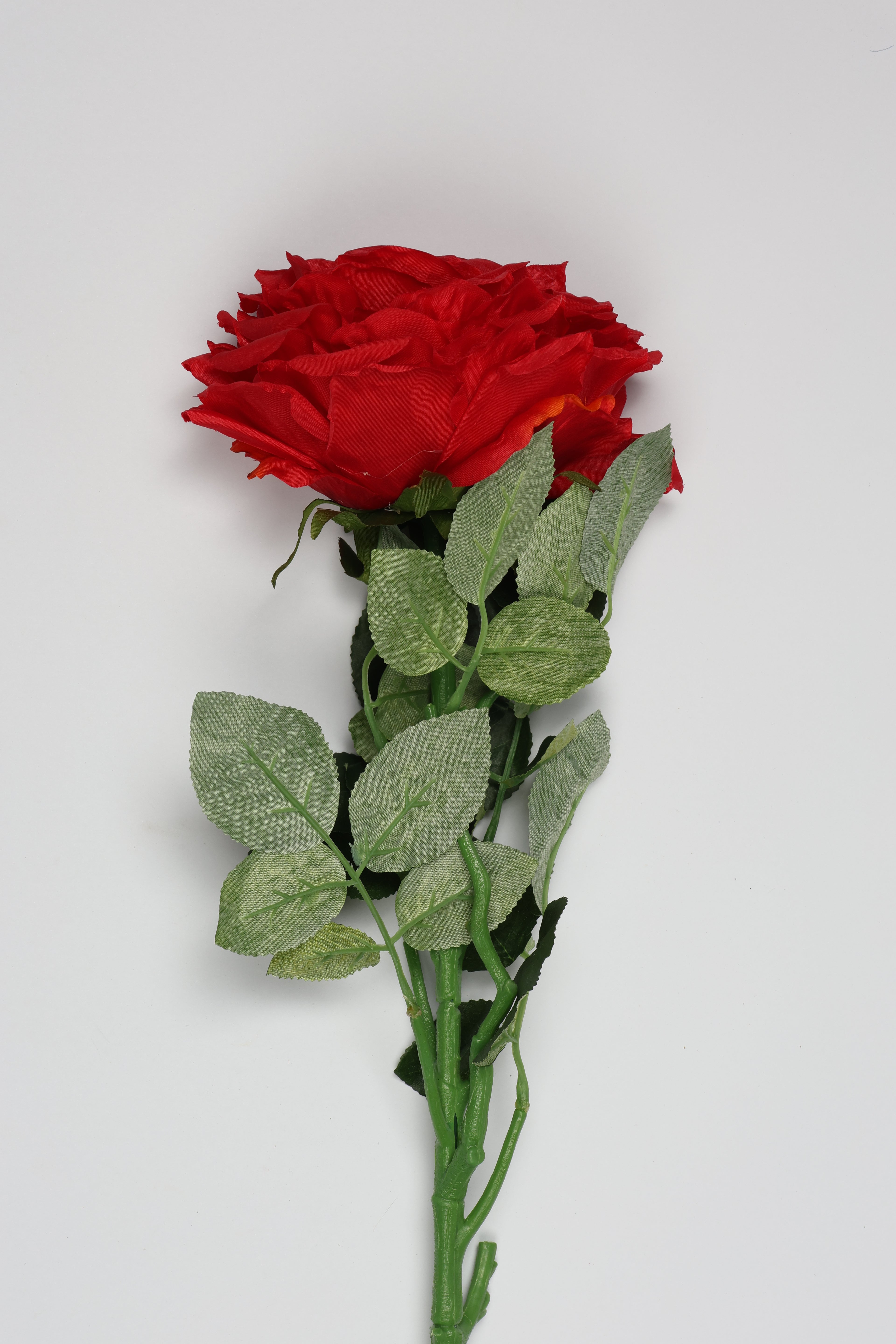 Red Rose - Single