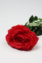 Red Rose - Single