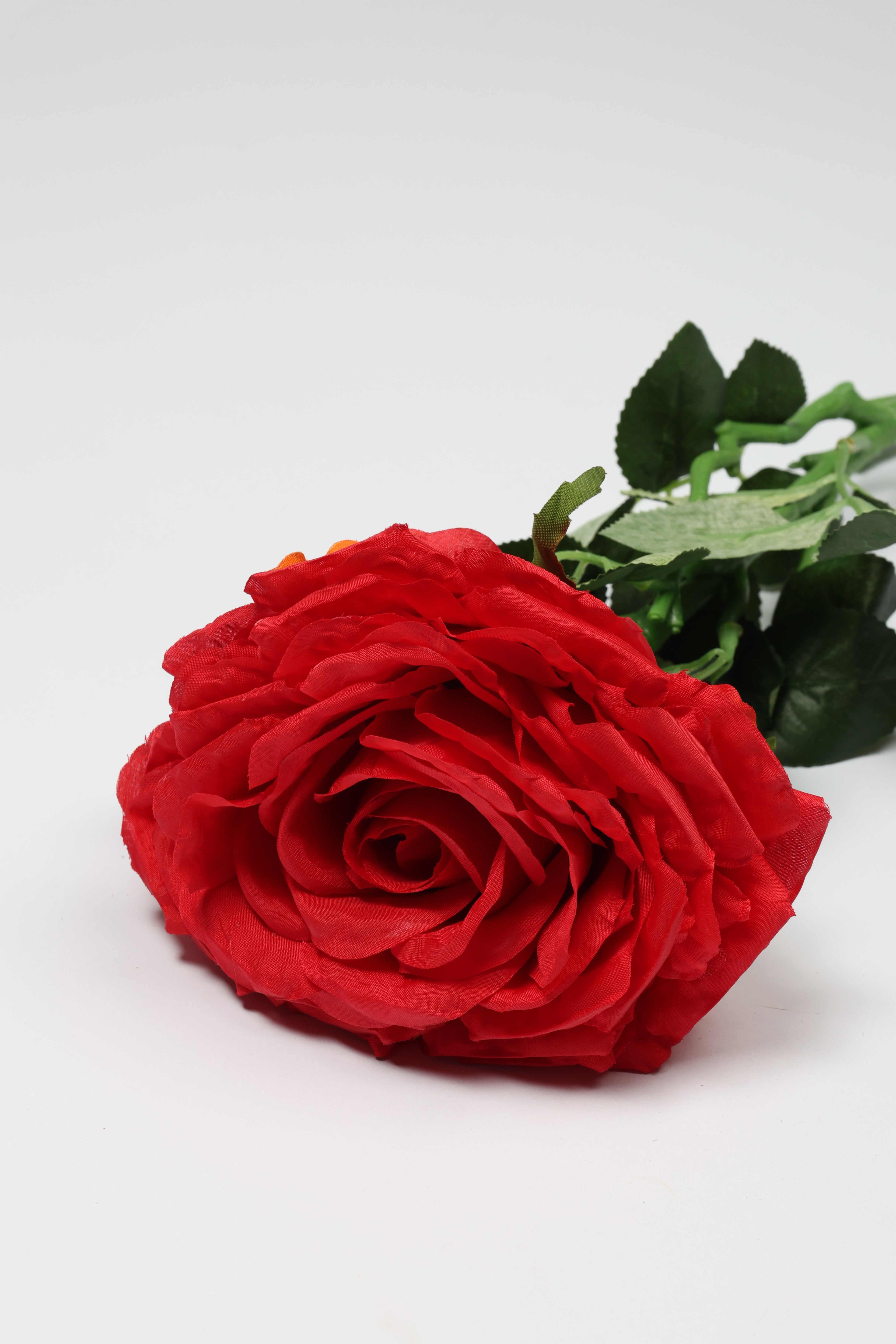 Red Rose - Single