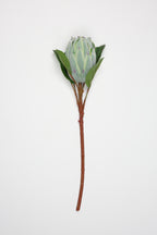 Poritia - Green Single Rose