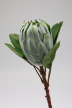 Poritia - Green Single Rose