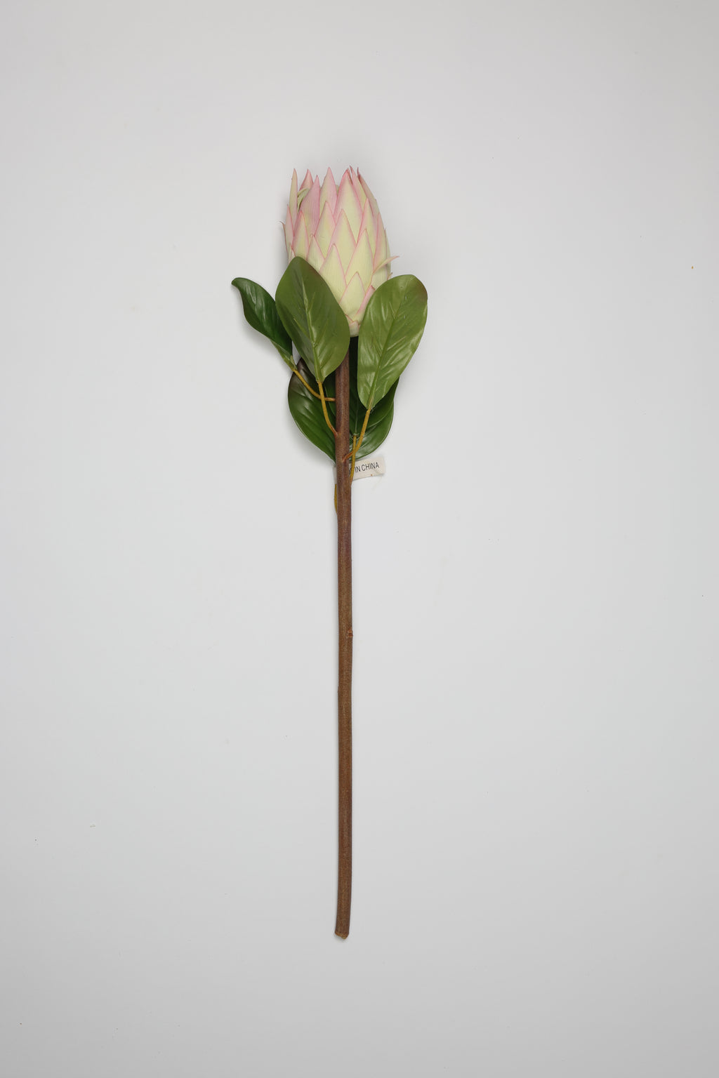 Poritia - Pink Single Rose