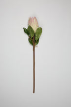 Poritia - Pink Single Rose
