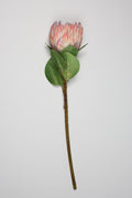 Poritia - Purple Single Rose