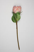 Poritia - Purple Single Rose
