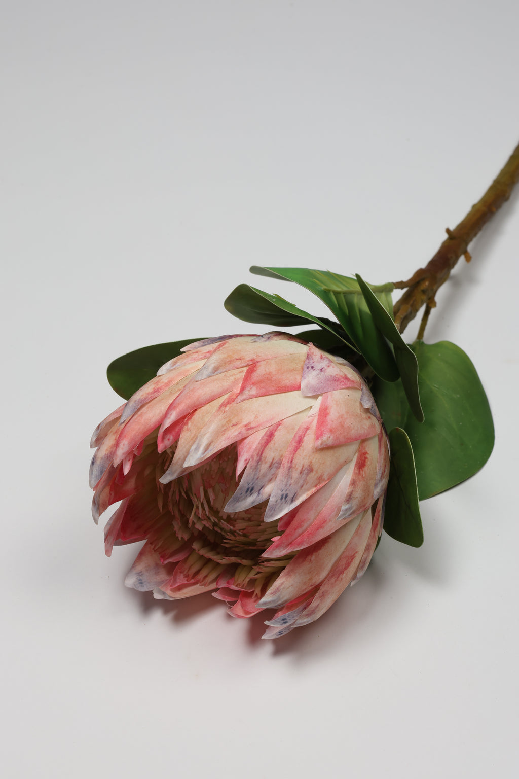 Poritia - Purple Single Rose