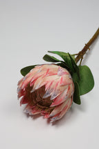 Poritia - Purple Single Rose