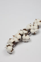 Cotton - Single