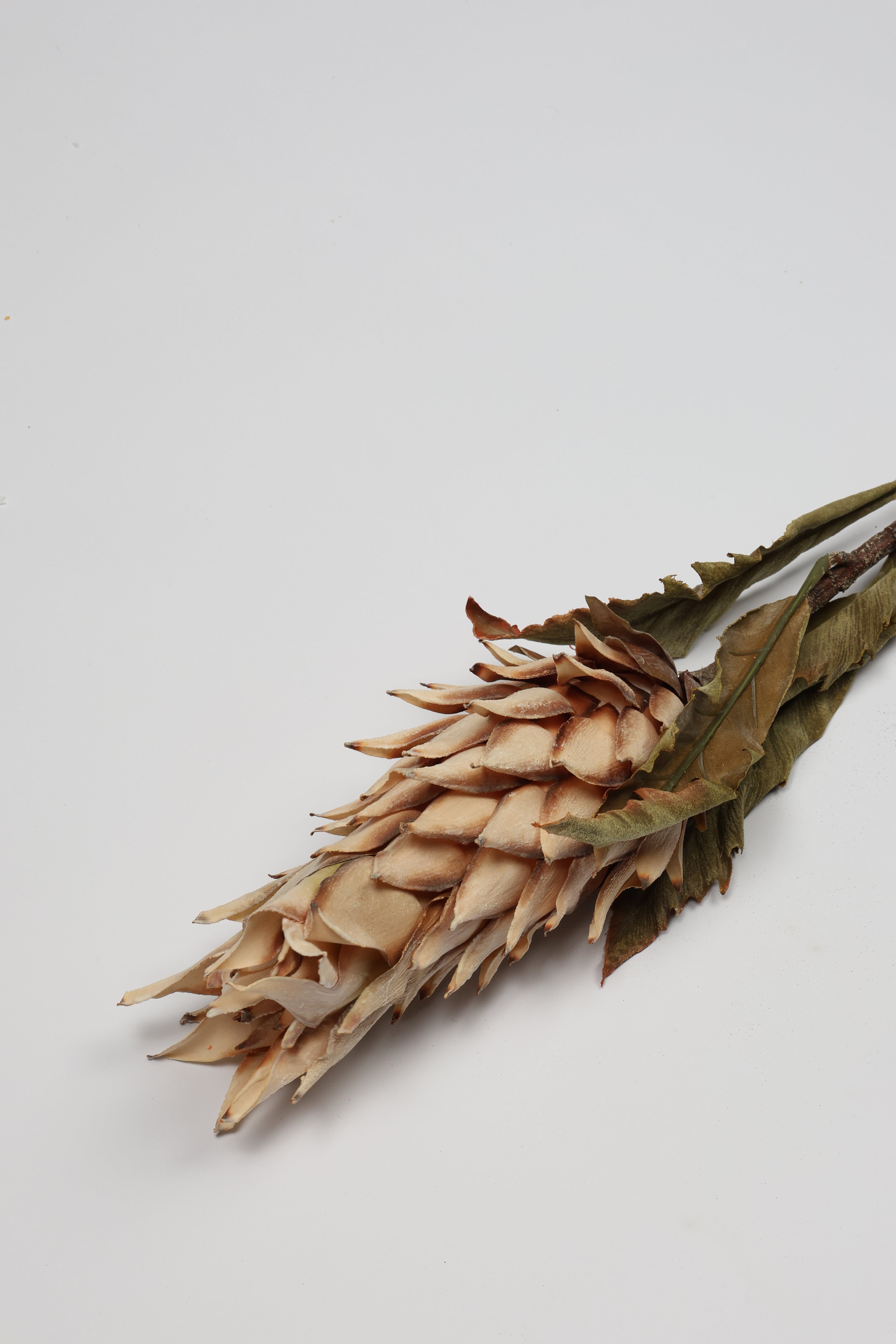 Pinapple - Off White - Single