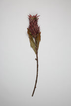 Pinapple - Purple - Single