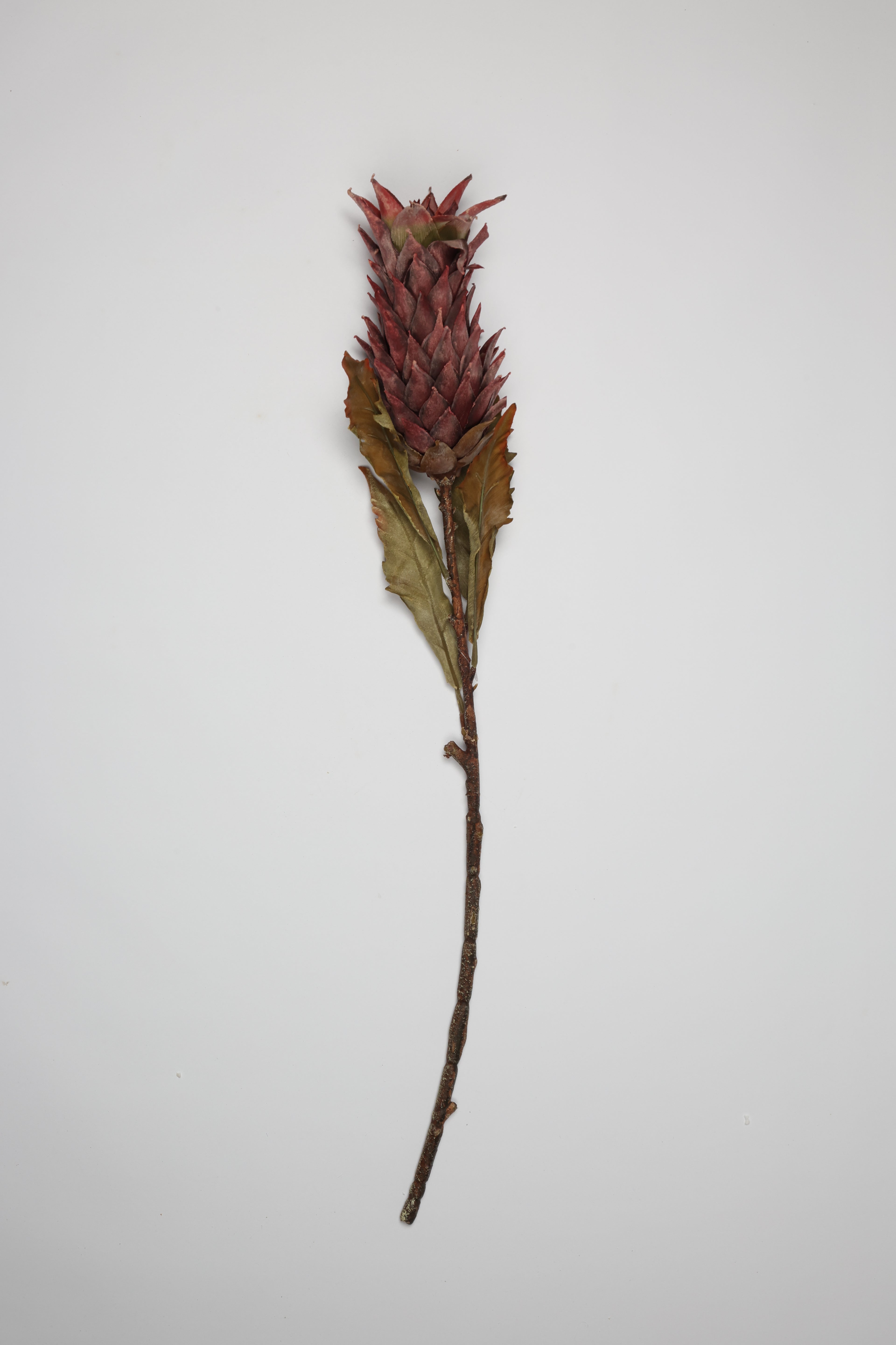 Pinapple - Purple - Single