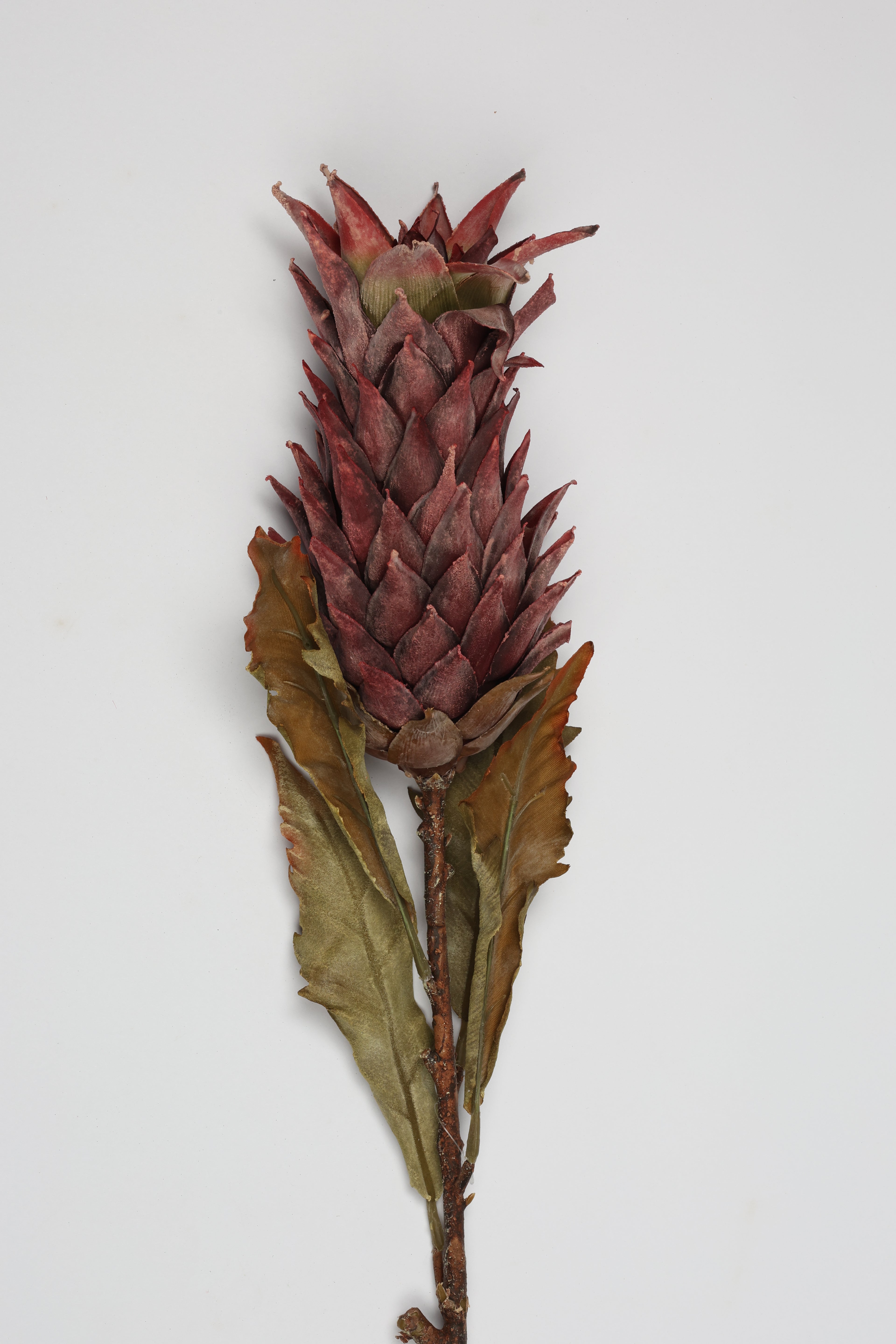 Pinapple - Purple - Single
