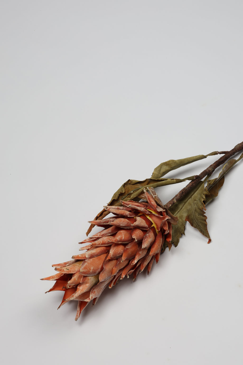 Pinapple - Orange - Single