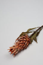 Pinapple - Orange - Single
