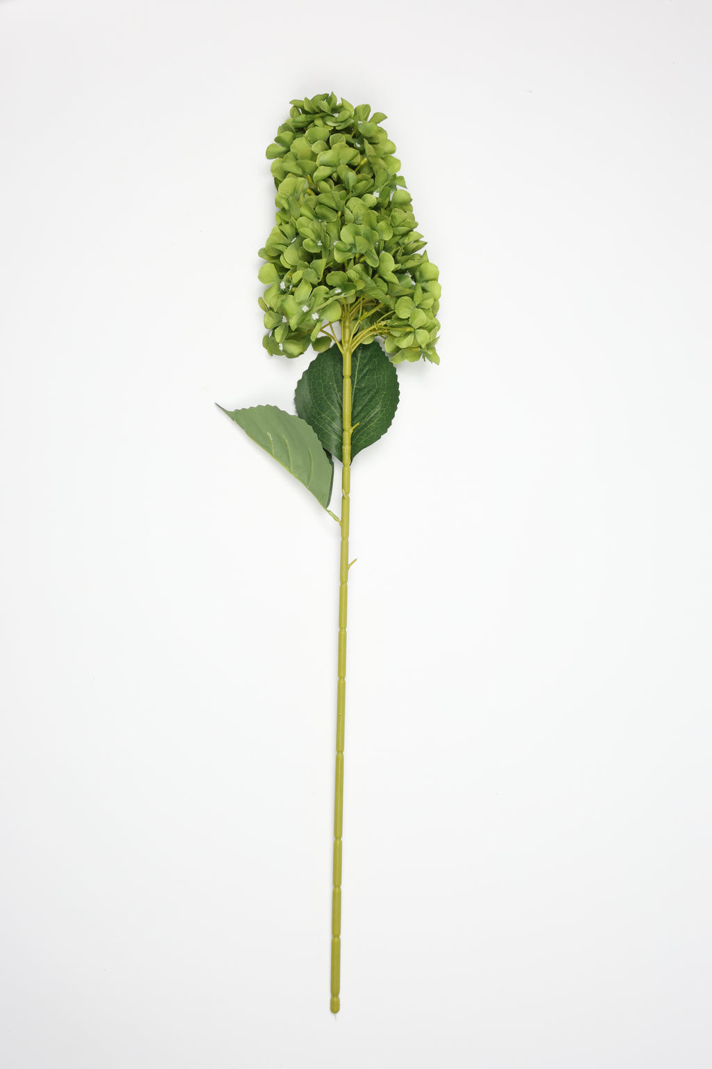 Antrina - Green