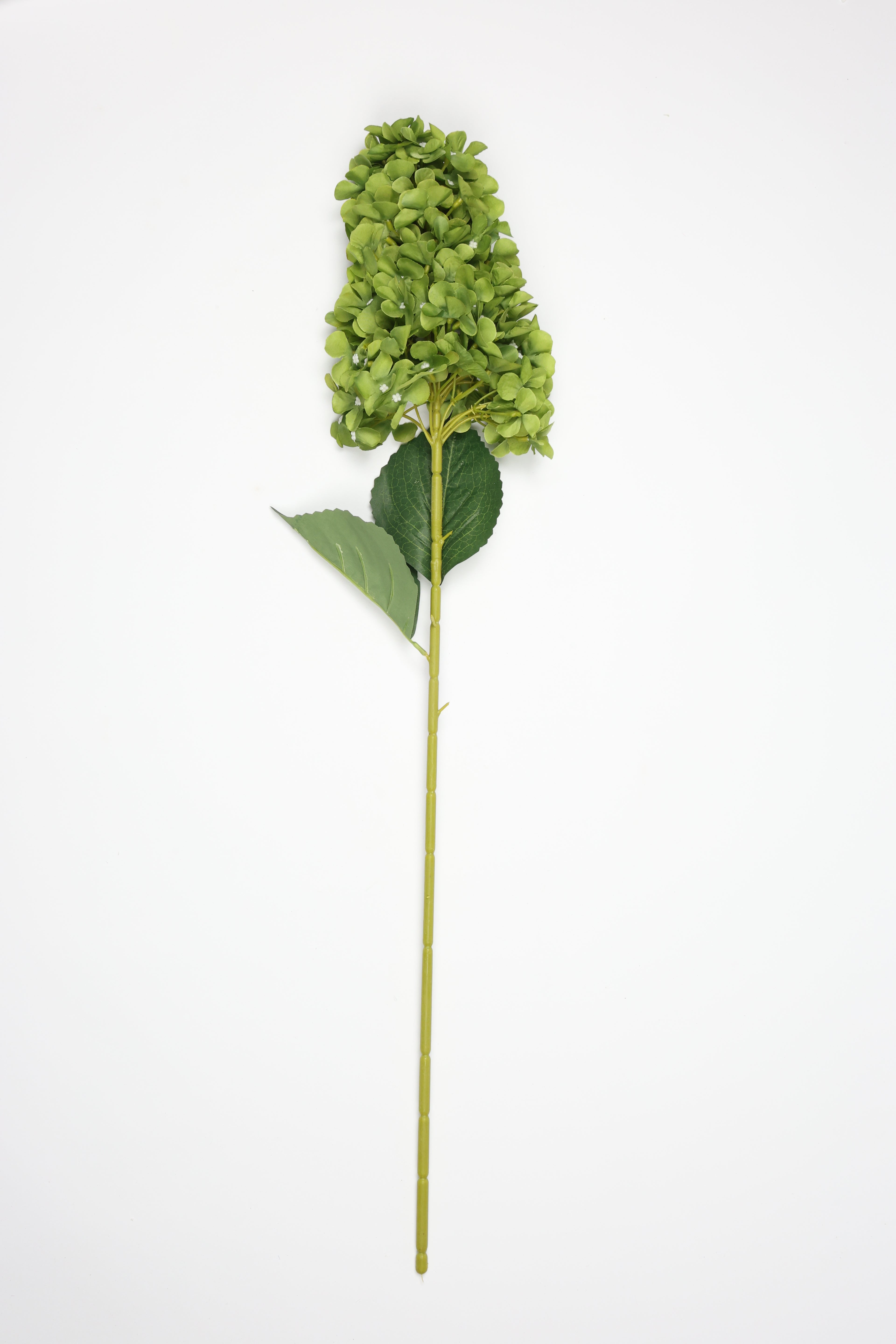 Antrina - Green