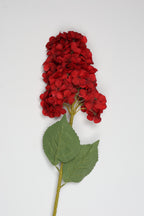 Antrina - Red