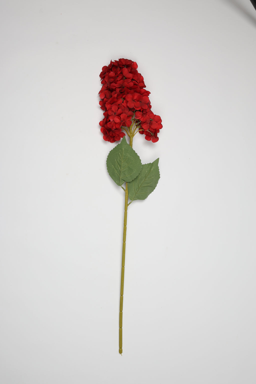 Antrina - Red
