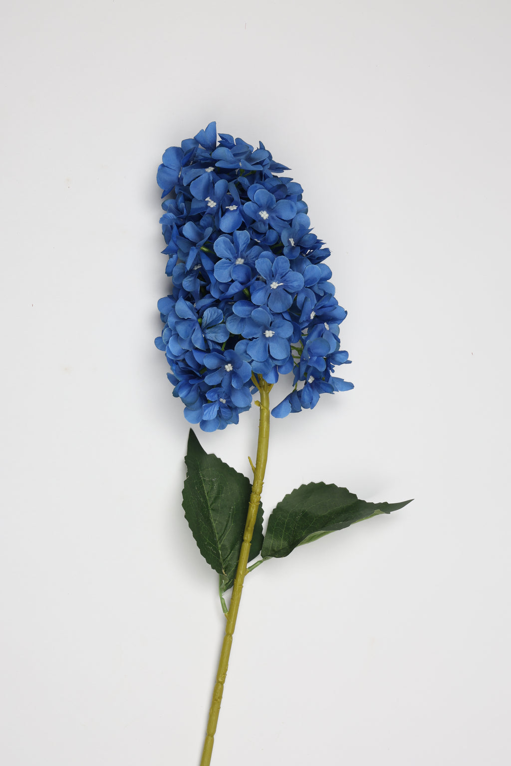Antrina - Blue