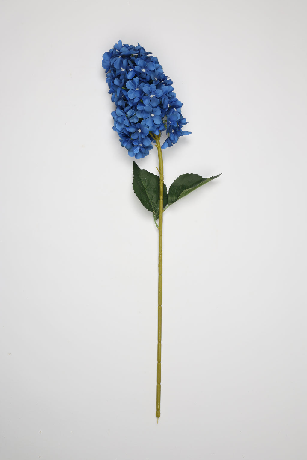 Antrina - Blue