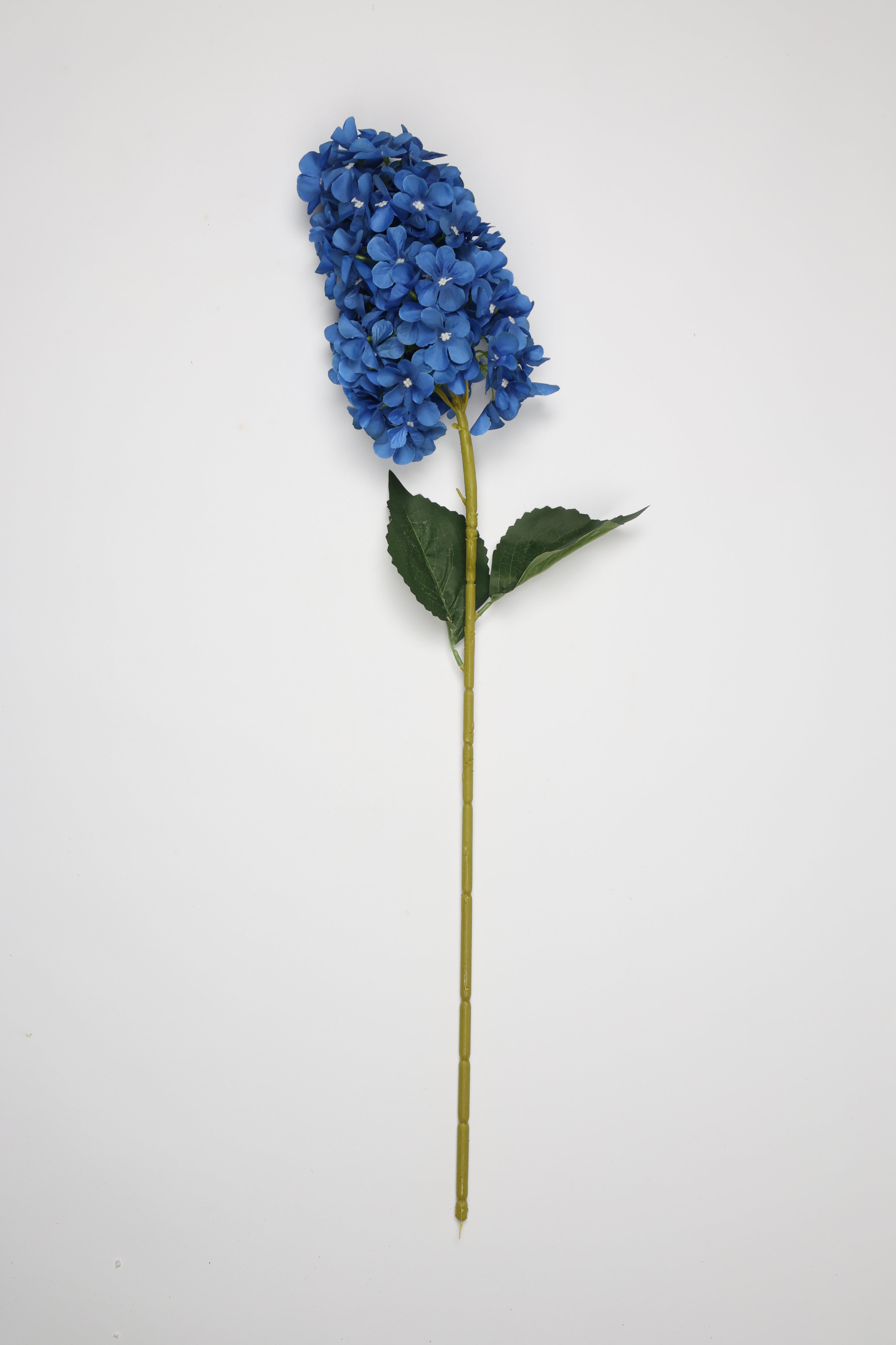 Antrina - Blue
