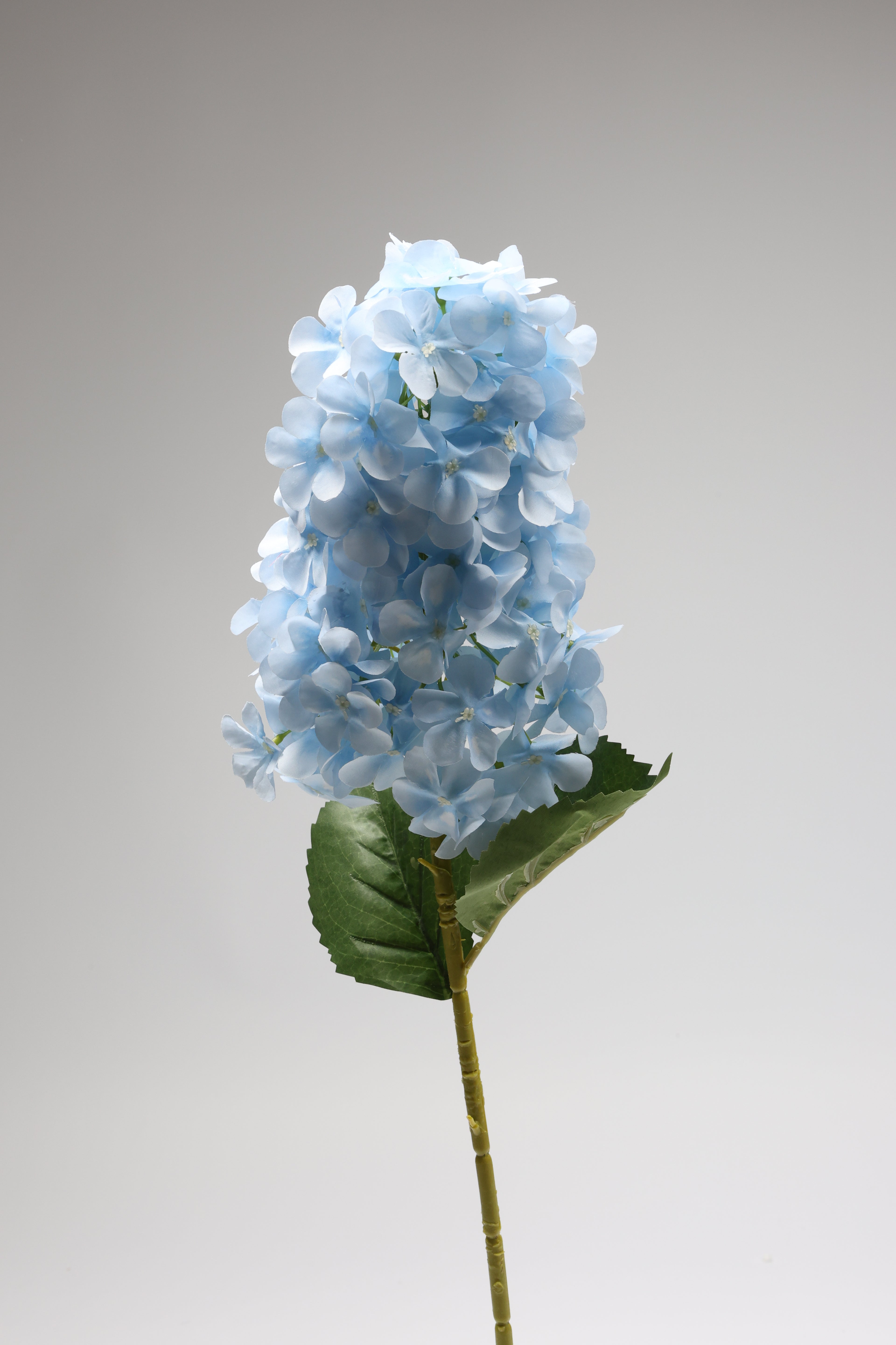 Antrina - Baby Blue