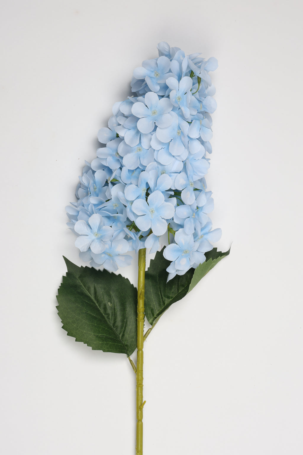 Antrina - Baby Blue
