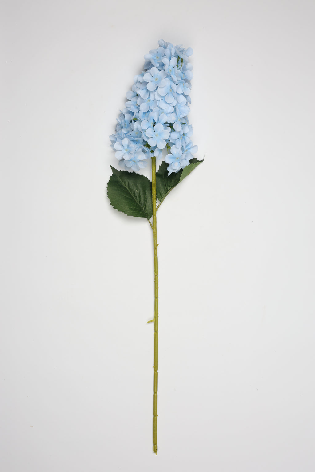 Antrina - Baby Blue