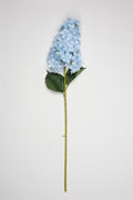 Antrina - Baby Blue
