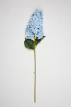 Antrina - Baby Blue