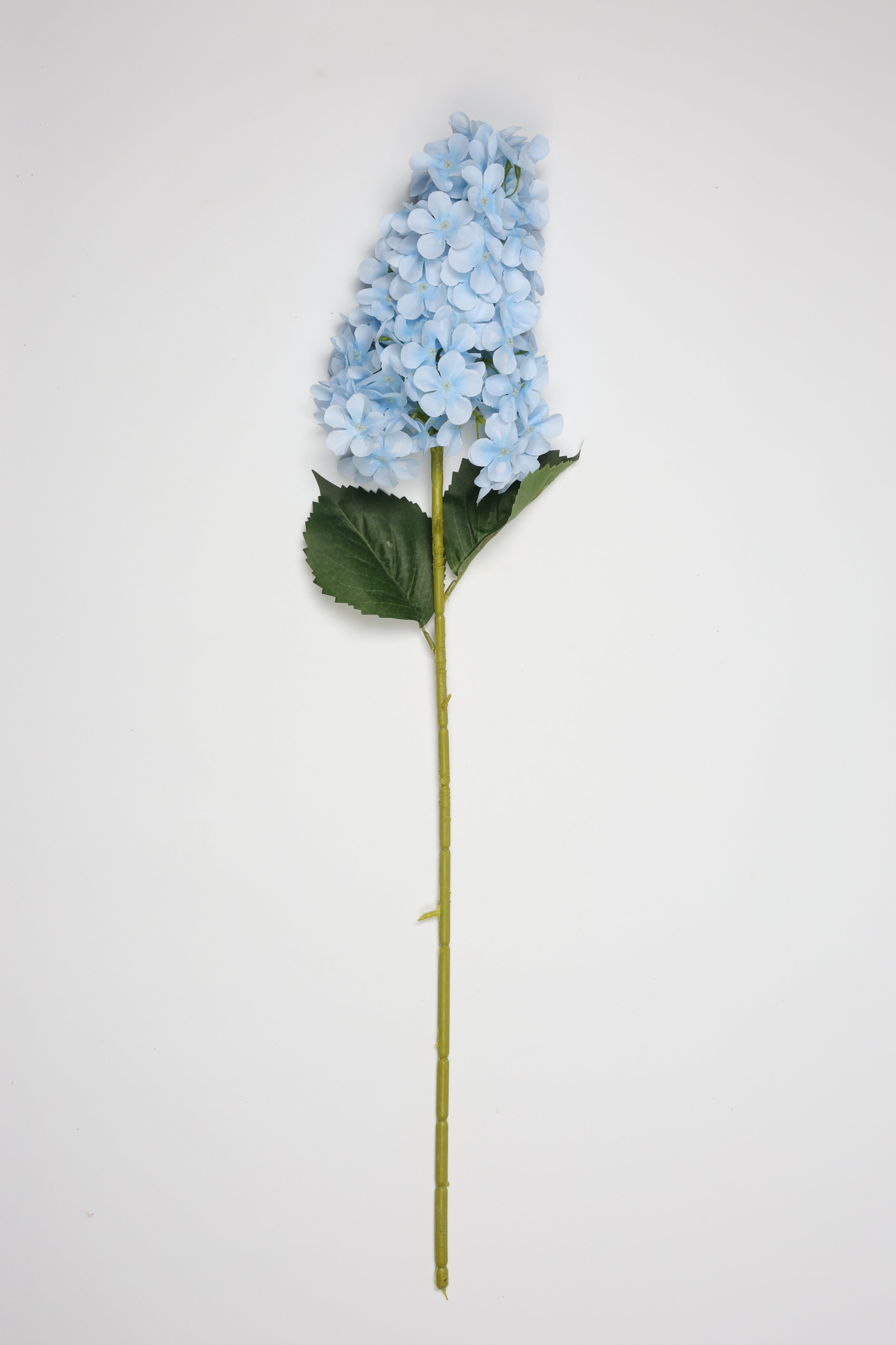 Antrina - Baby Blue