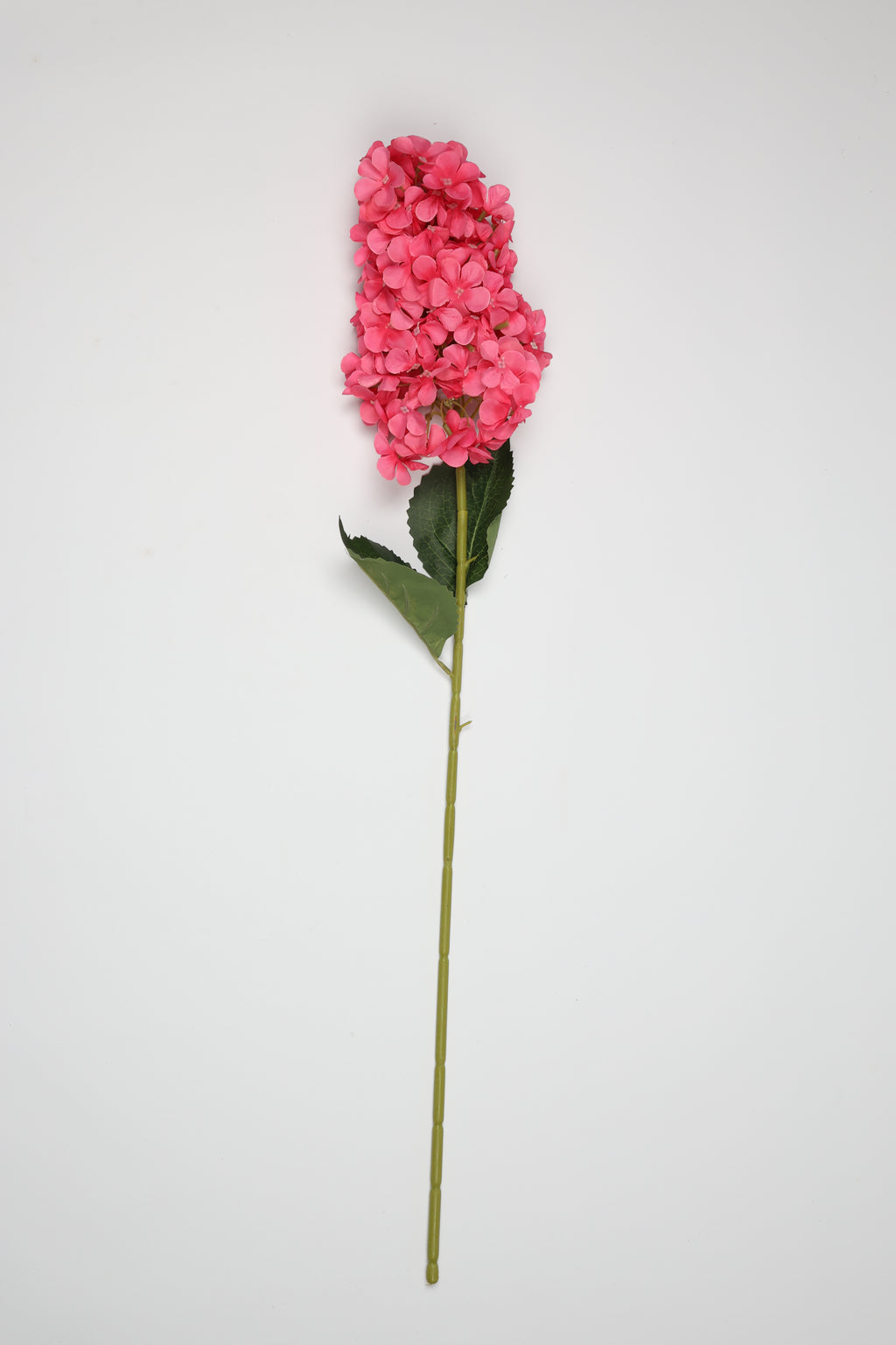 Antrina - Pink