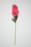 Antrina - Pink