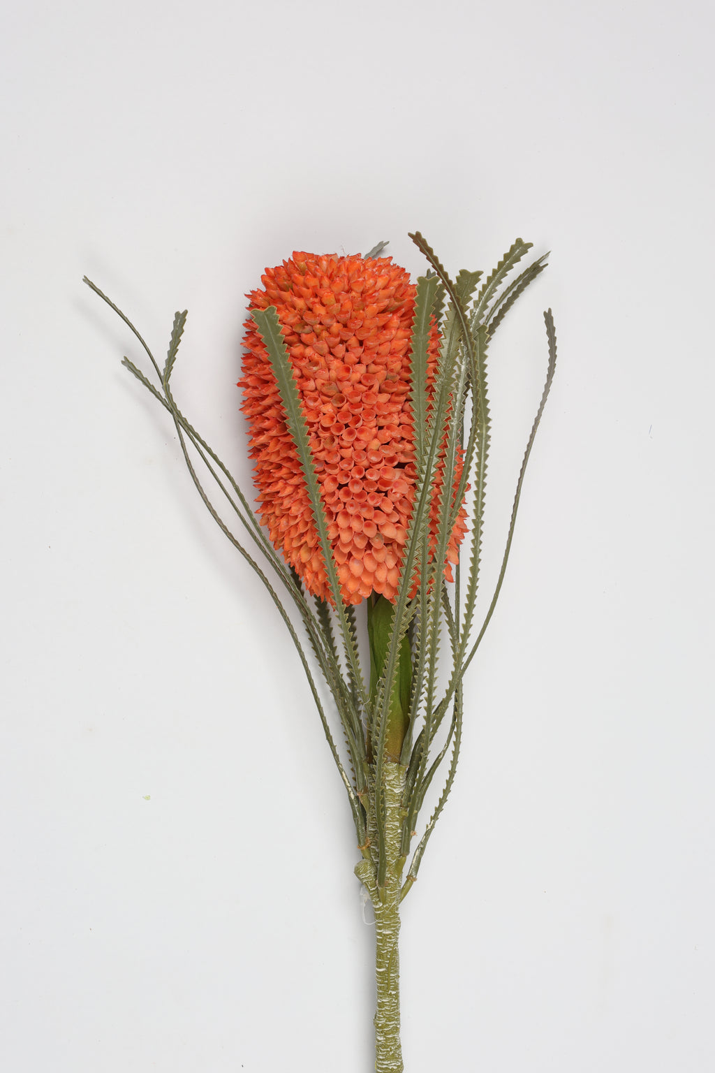 Porotia - Orange - Single