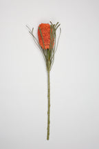 Porotia - Orange - Single