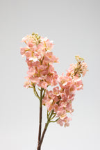 Jasmin - Pink