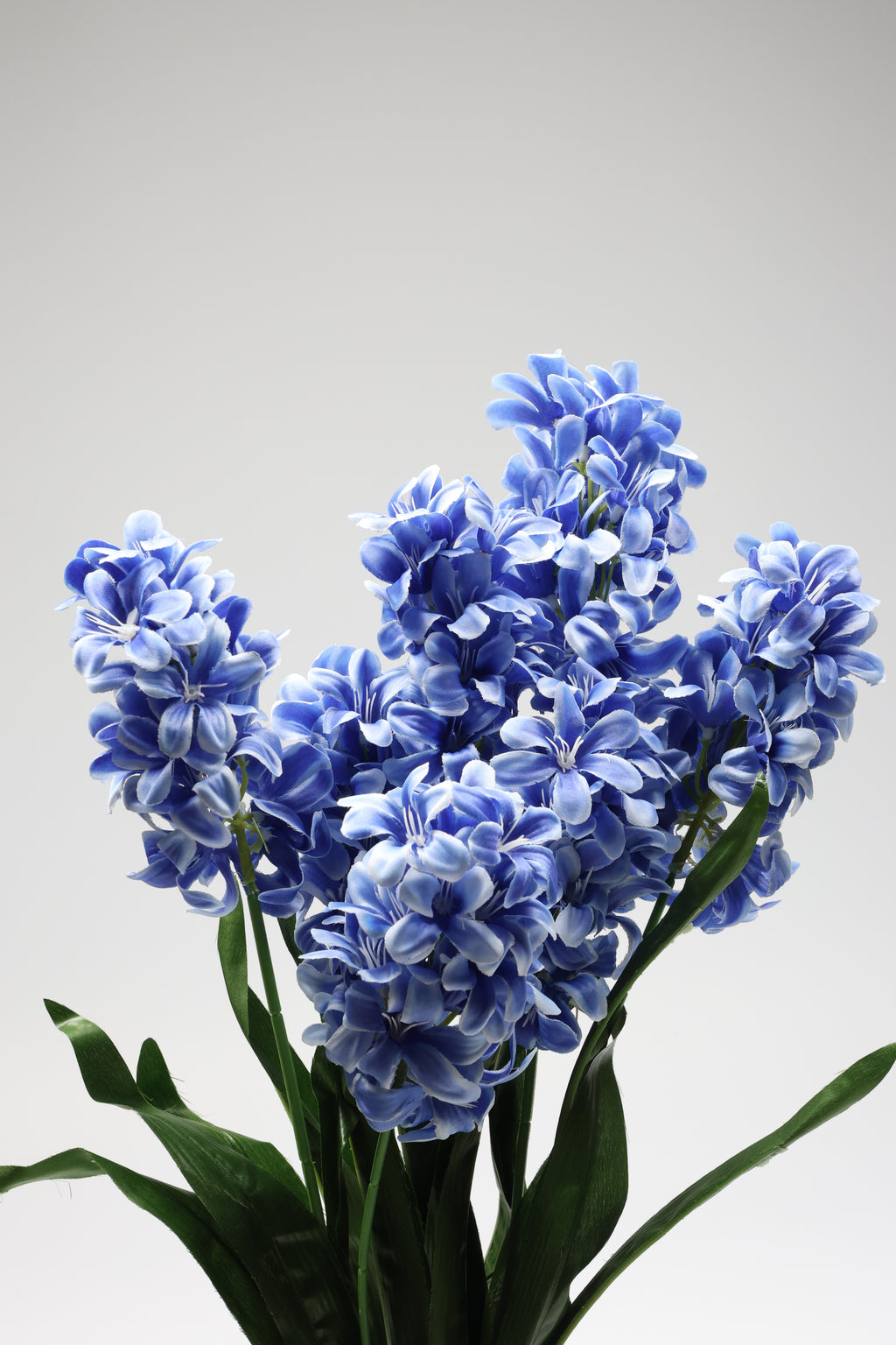 Jasmin-  Blue 7 Flowers - 7 Lines