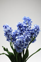 Jasmin-  Blue 7 Flowers - 7 Lines