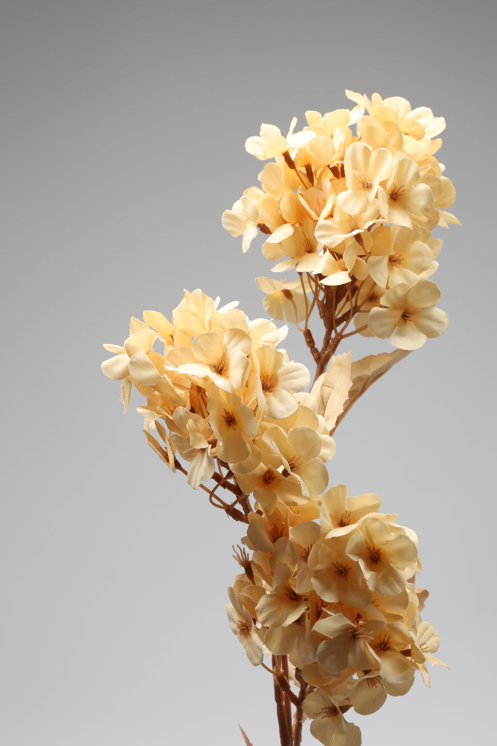 Jasmin -3 Flowers - 3 Lines