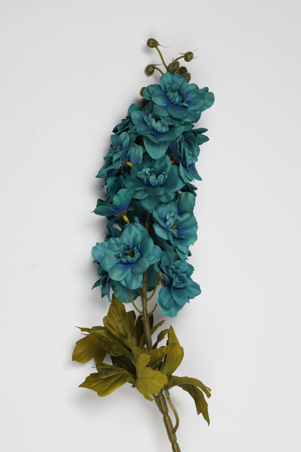 Antirrhinum- Big - Blue Dark