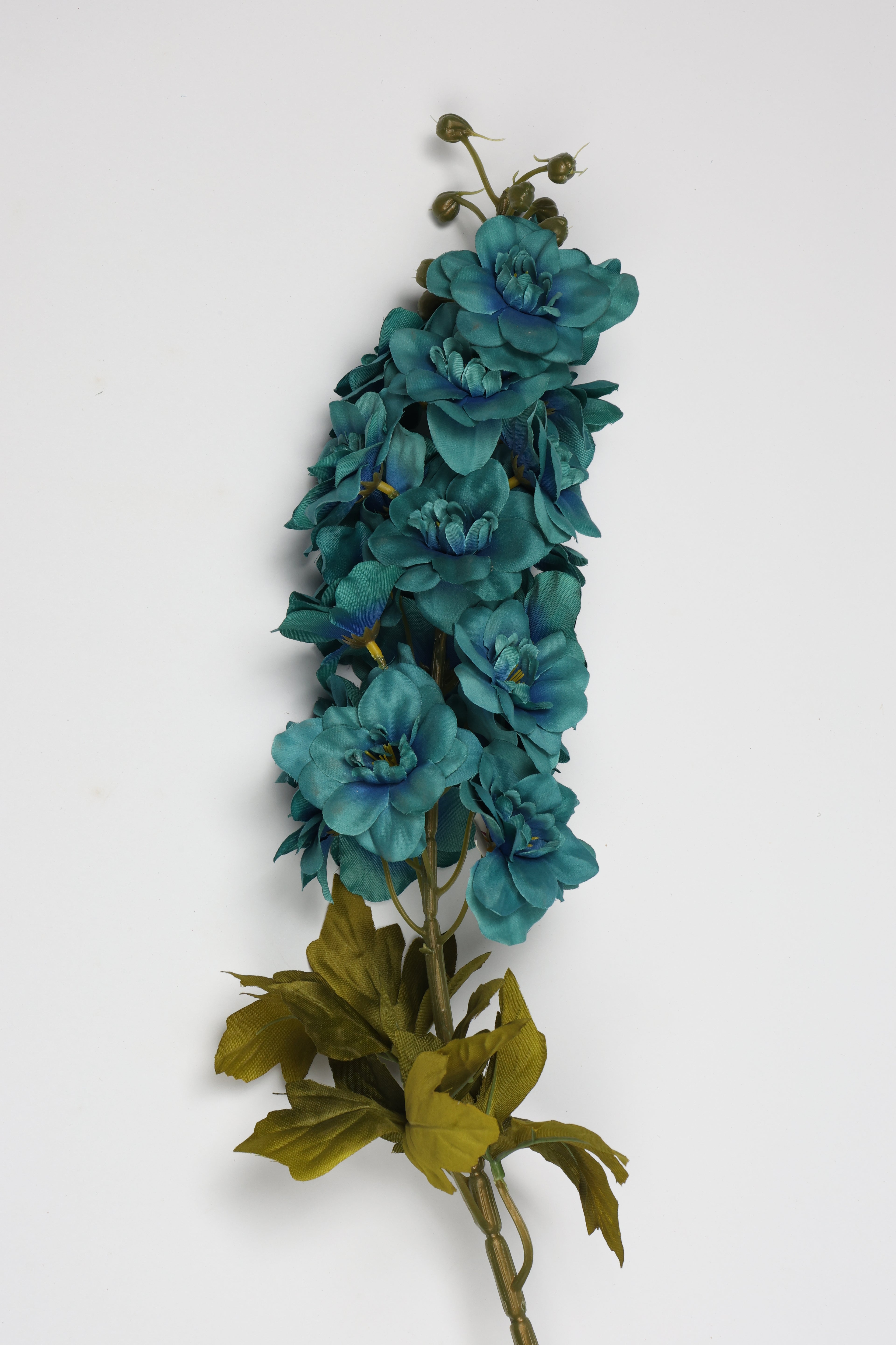 Antirrhinum- Big - Blue Dark