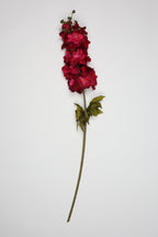 Antirrhinum -Big - Foshia