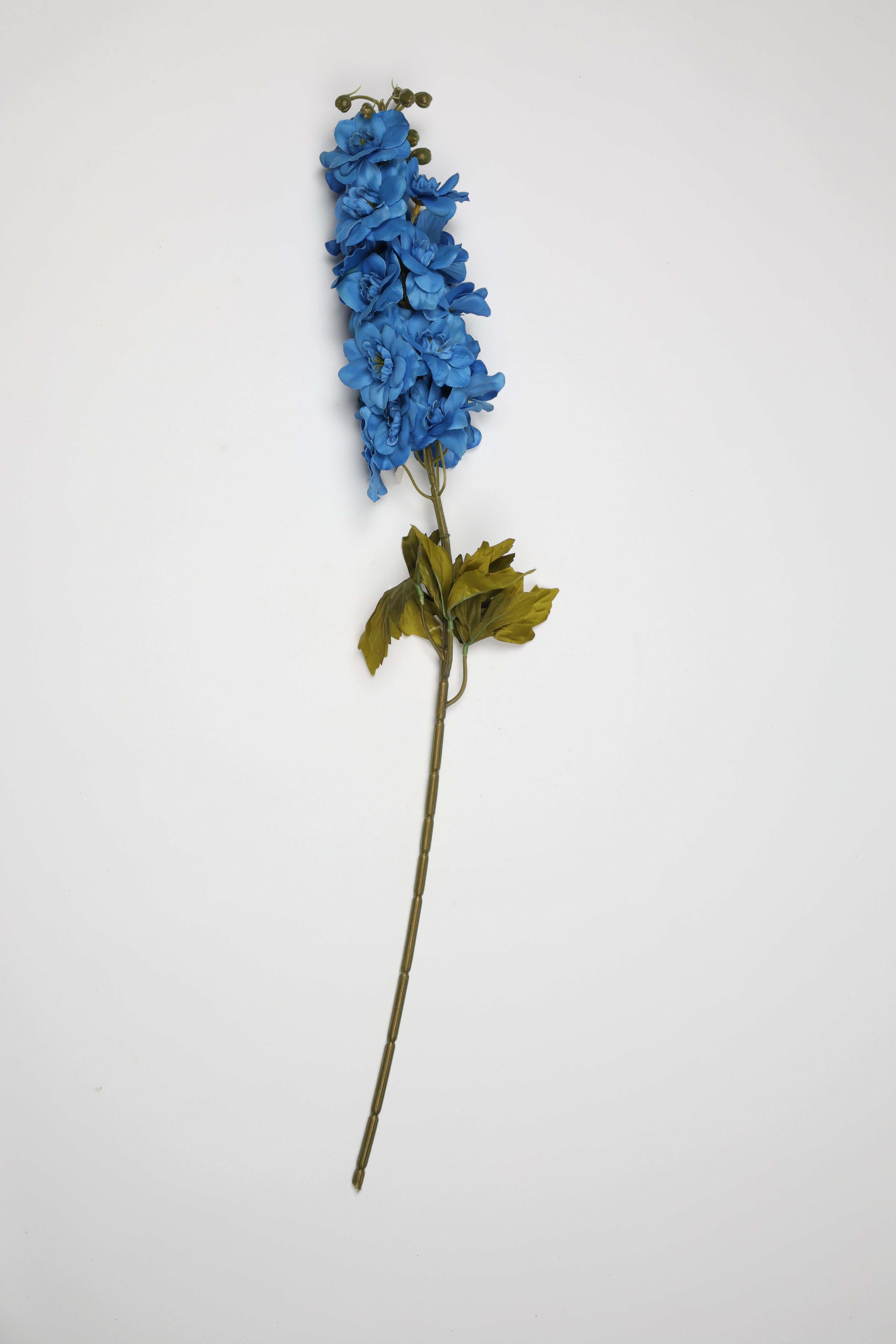 Antirrhinum- Big - Blue